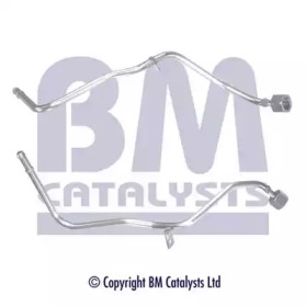 BM CATALYSTS pp11070b -